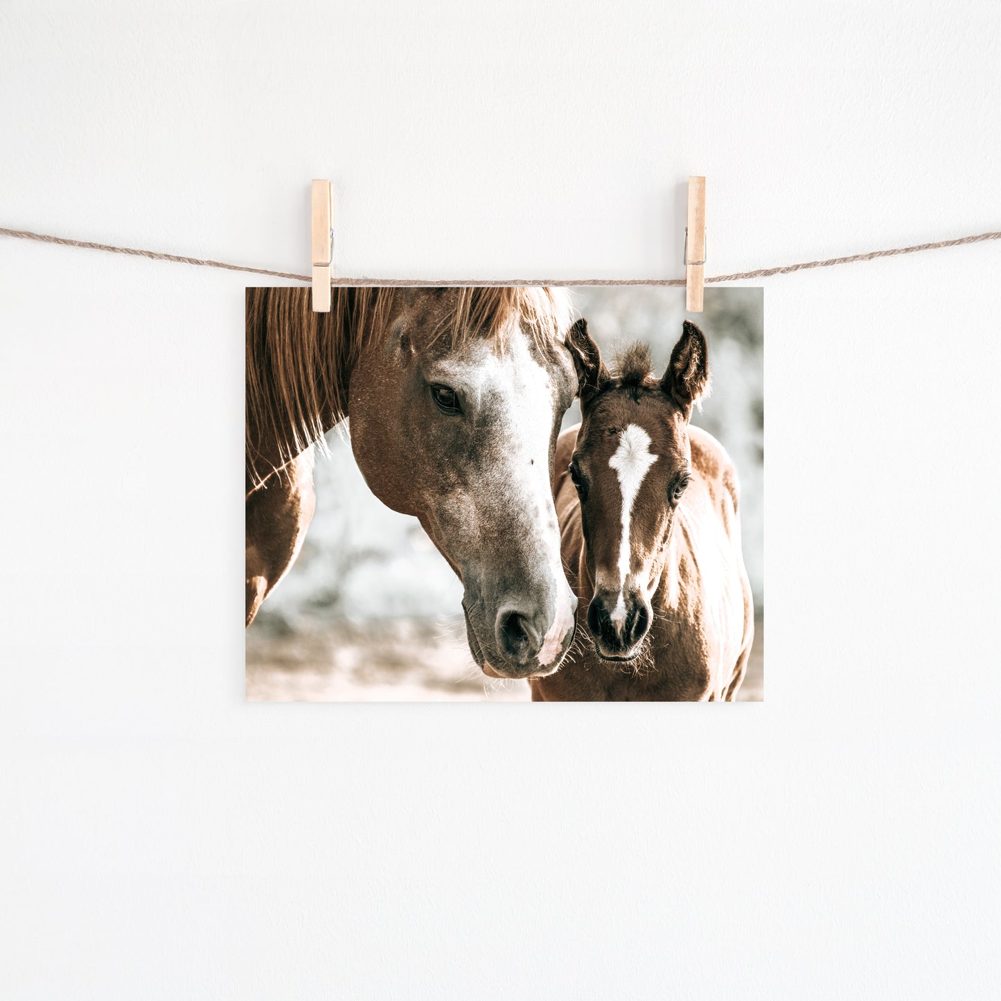 DAM AND FOAL-8X10-#497