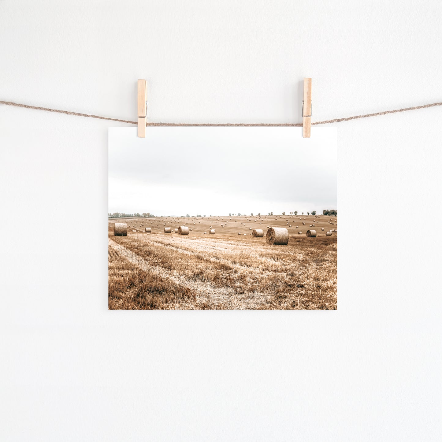 Hay Bales Canvas Art | #494