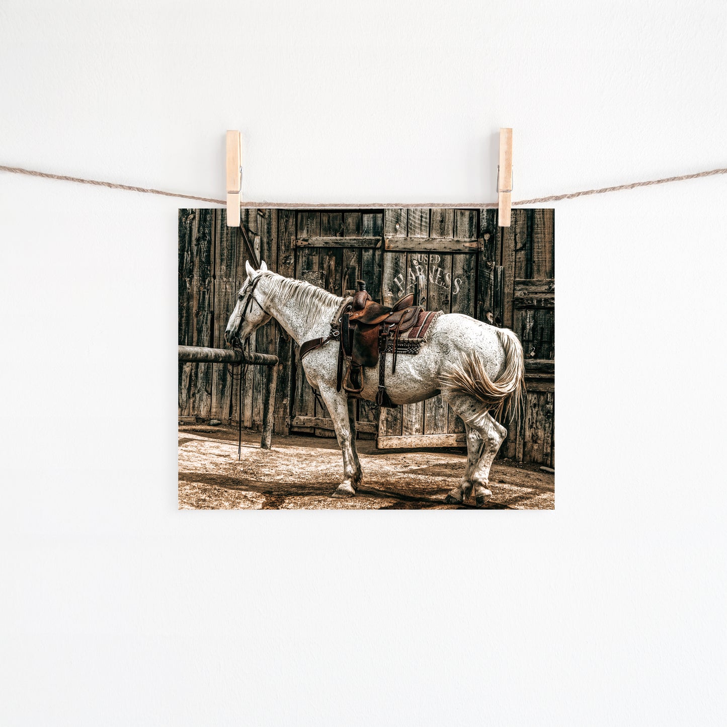 USED HARNESS-8X10-#495