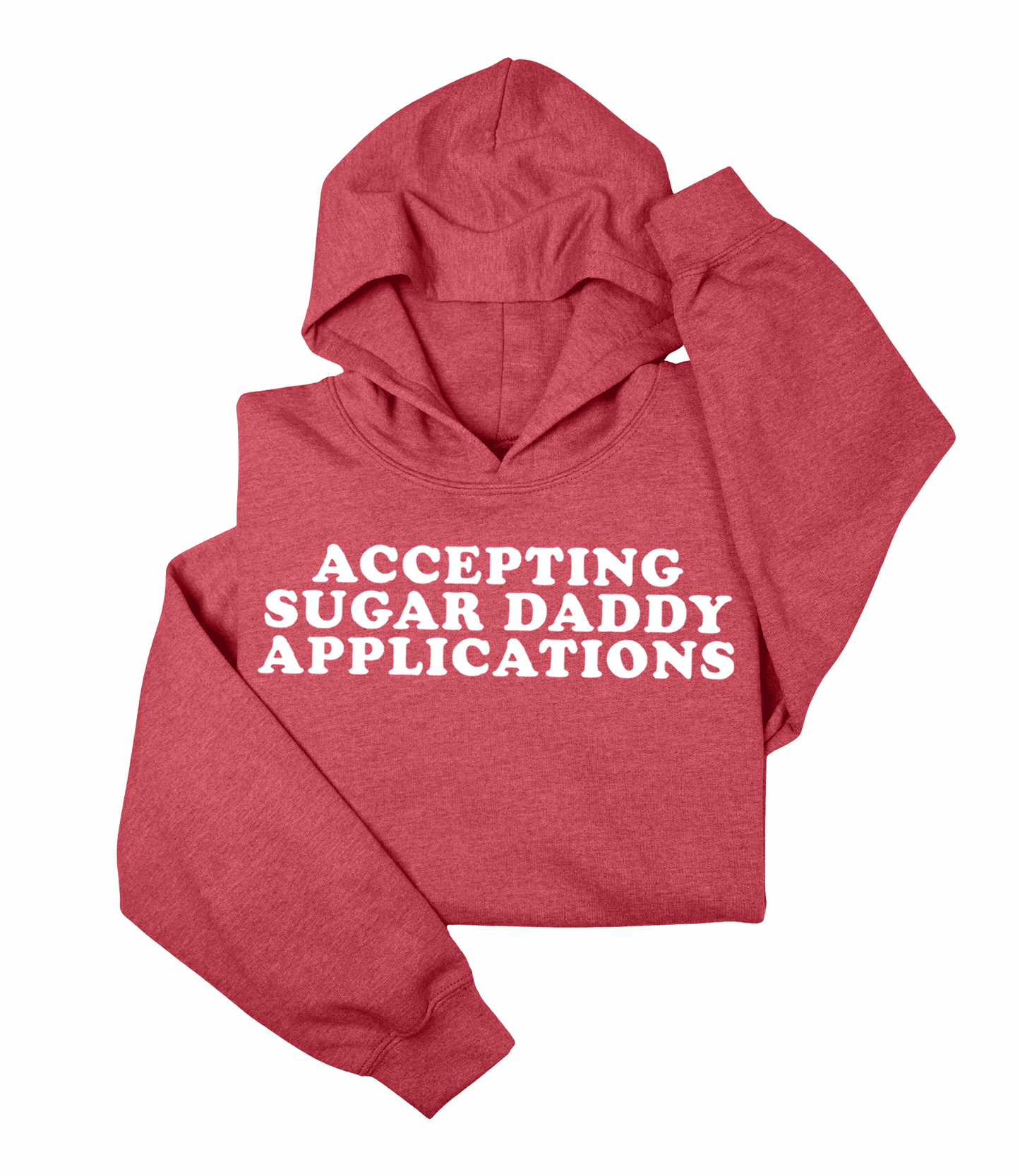 Accepting Sugar Daddy Applications Heavy Blend™ Hooded Sweatshirt