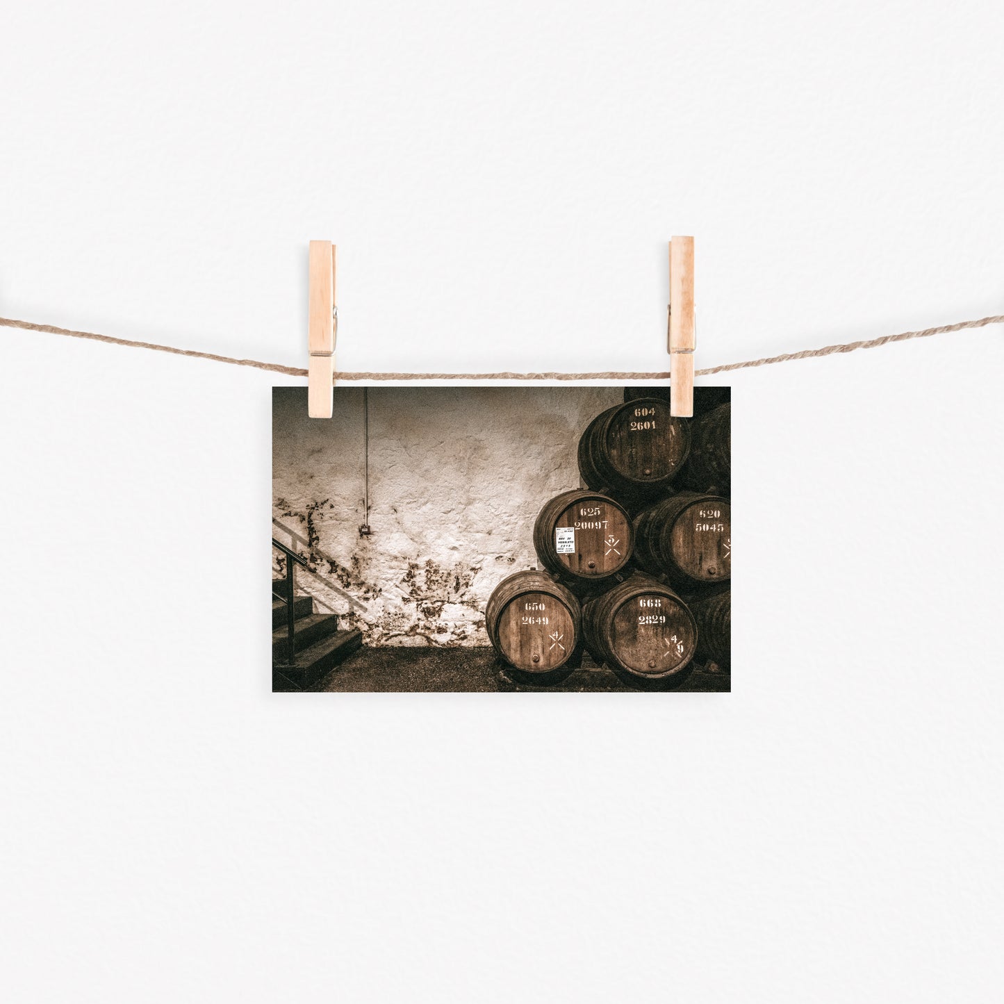 Whiskey Barrels Canvas Art | #500